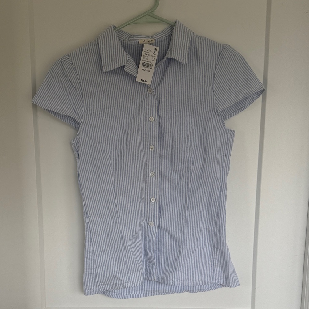 Brandy Melville Blue and White Striped Shirt